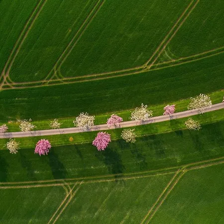 Northfield