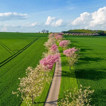 Northfield Tatil Evi York