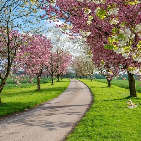 Hébergement de vacances Northfield
